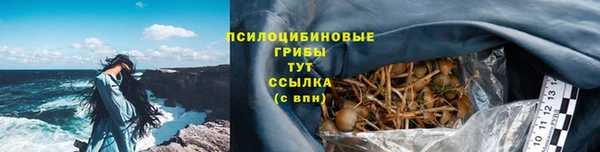 индика Белокуриха