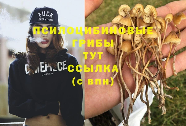 мдма Строитель