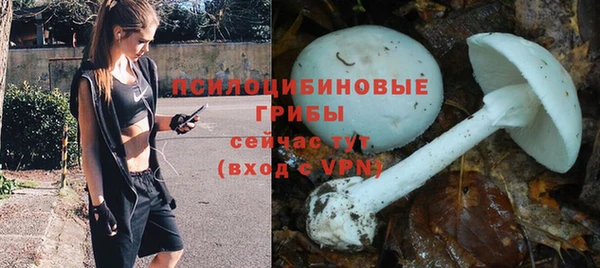альфа пвп Беломорск