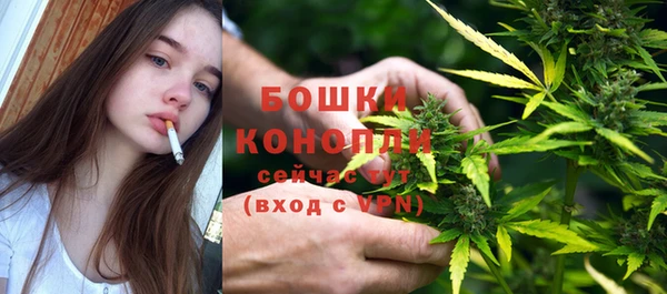 индика Белокуриха