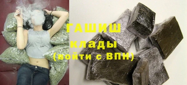индика Белокуриха