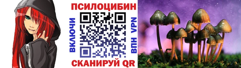 Галлюциногенные грибы GOLDEN TEACHER  где продают   Кондопога 
